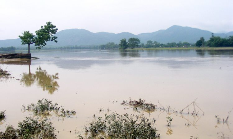 Ảnh hưởng do mưa lớn và xả lũ hồ Hòa Bình: 91 hộ dân phải di dời khẩn cấp